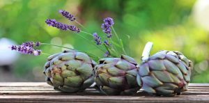 Alcachofra usos medicinais